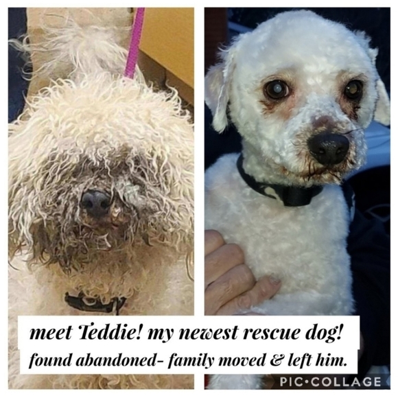 NWT VS wicked balconette bra and panty set *2 pieces - Picture 12 of 12